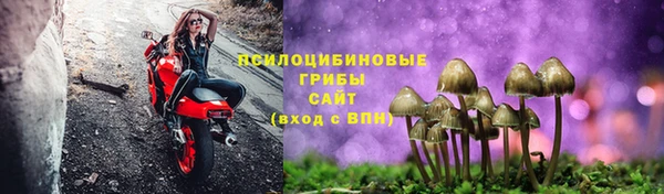 COCAINE Горно-Алтайск