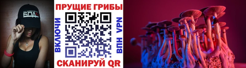 где найти наркотики  Железногорск-Илимский  Галлюциногенные грибы мухоморы 